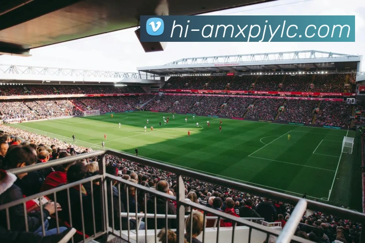 多媒体互动体验